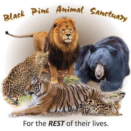 Community Foundation of Noble County | Black Pine Animal Sanctuary (PARC,  Inc.) Endowment Fund