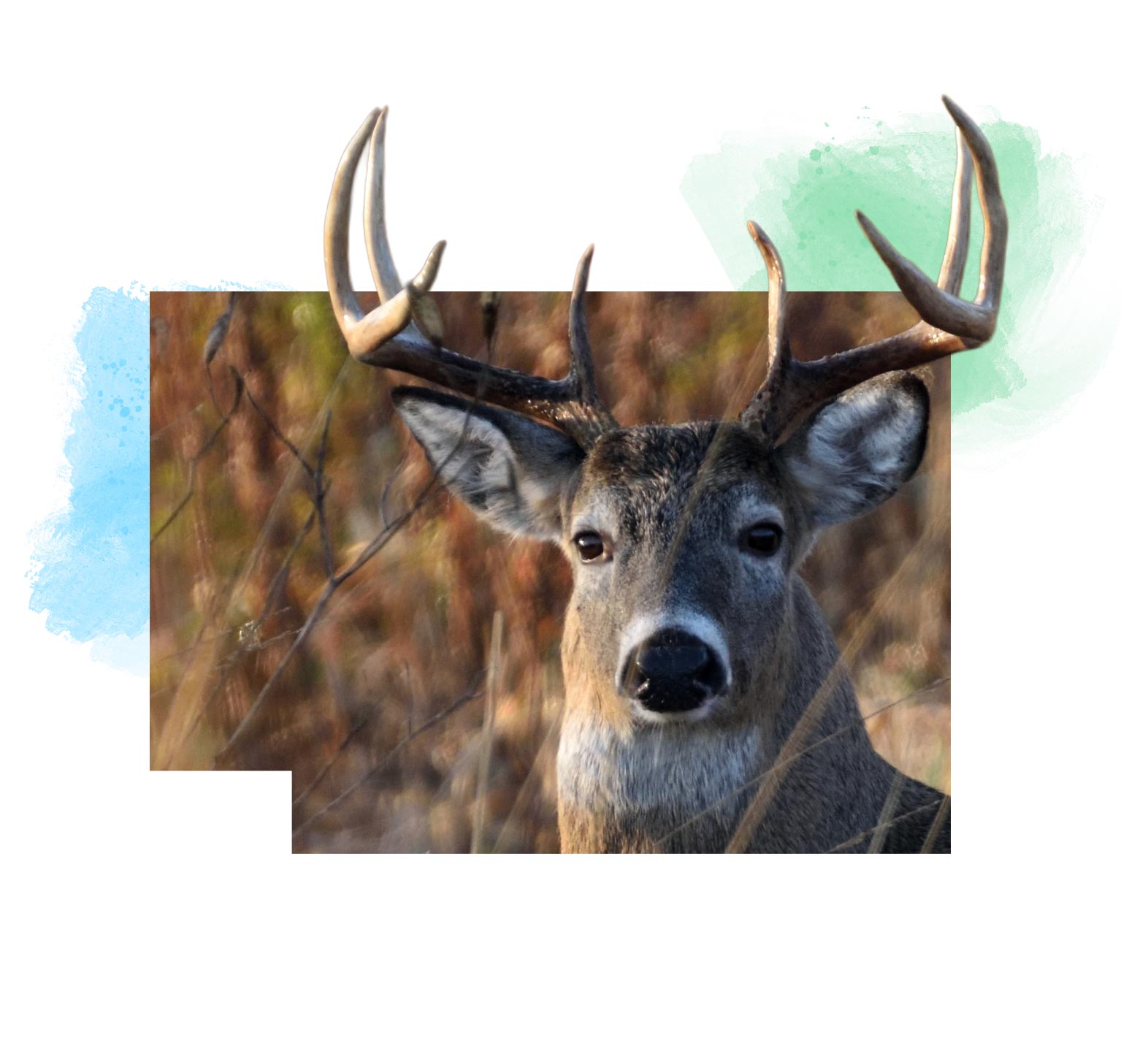 Anthony Wayne Area Council Boy Scouts Fund hero image