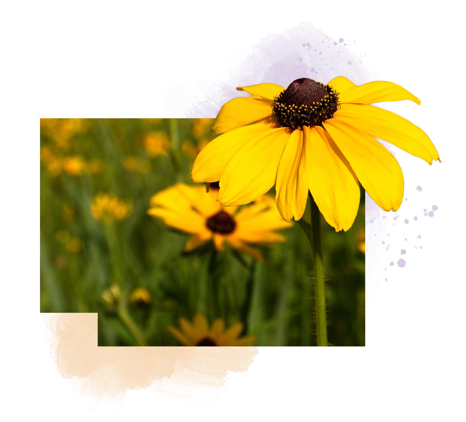 AWS Foundation Accessible Communities Fund hero image